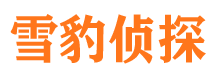 松江市婚外情调查